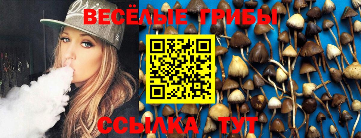 Псилоцибиновые грибы мухоморы Лыткарино