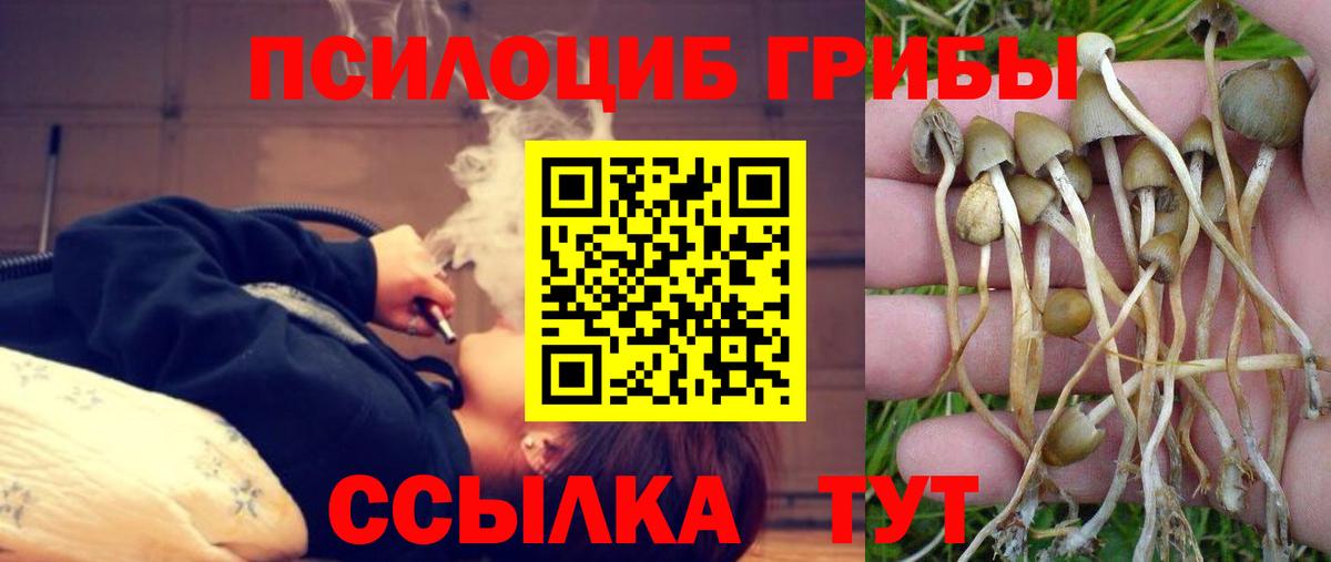 Галлюциногенные грибы Psilocybe  Галлюциногенные грибы Psilocybine cubensis  Вход с VPN  Лыткарино 